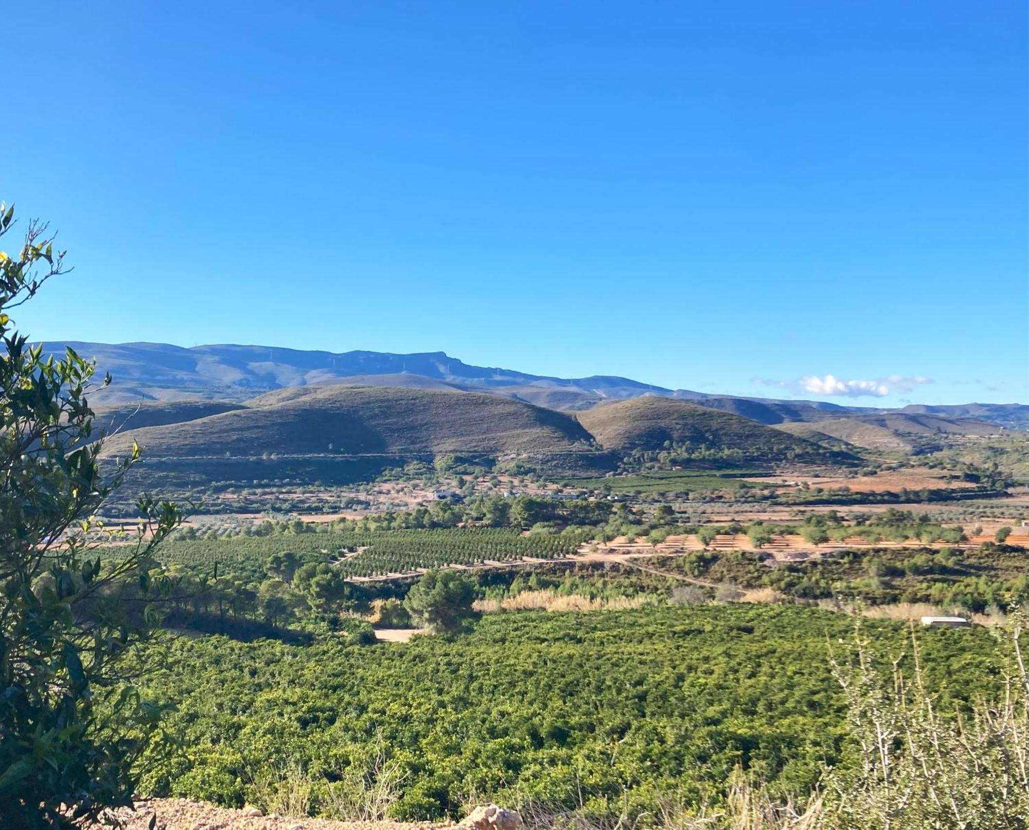 Villa Torre Macastre, Valencia Dış mekan fotoğraf