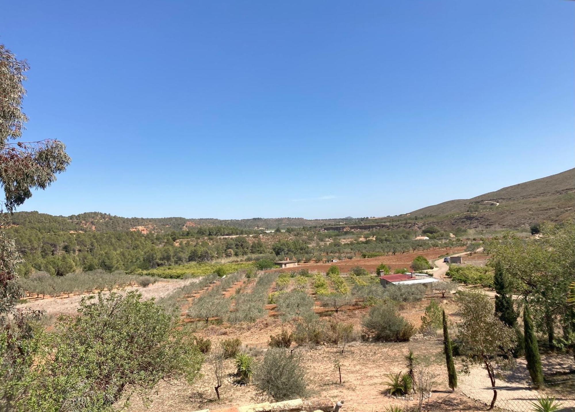 Villa Torre Macastre, Valencia Dış mekan fotoğraf